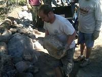 unloading rock by new log (10)WL