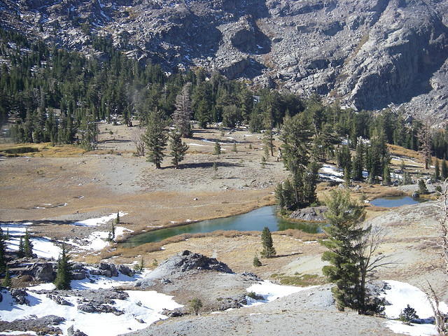 IMGP3956