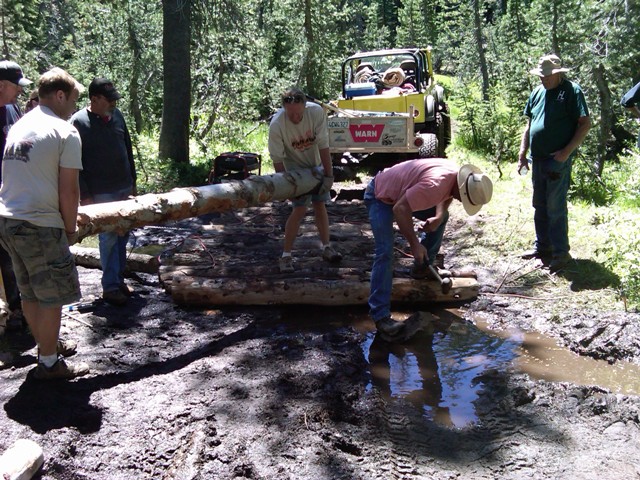 (building bridge) day one (14)WL