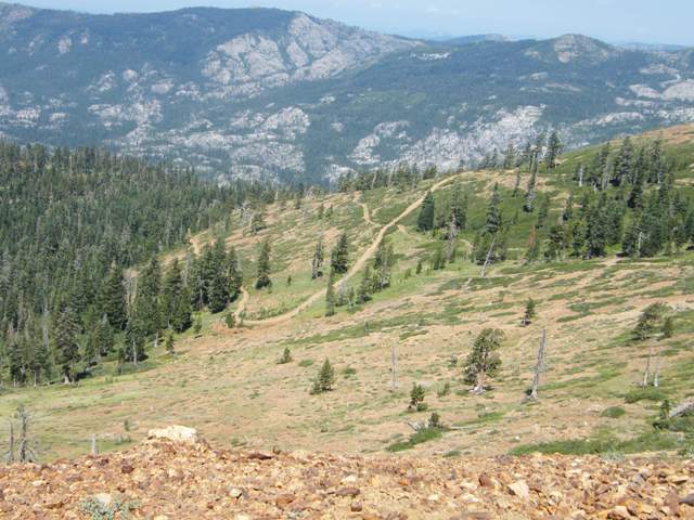 SPT Trail-1wl