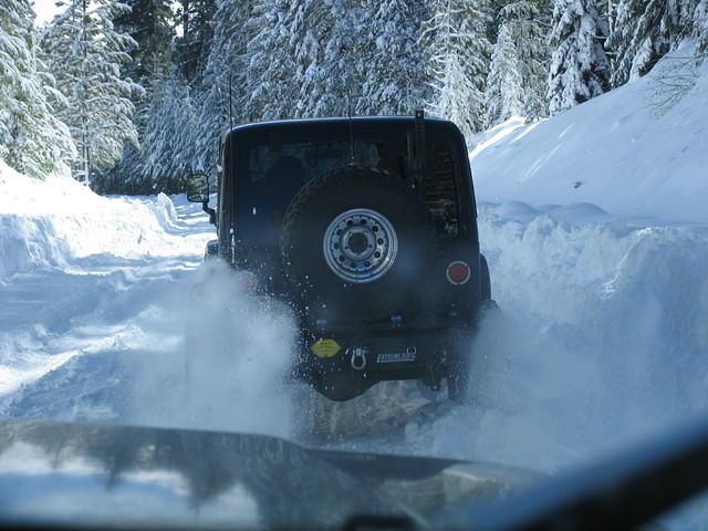 IMG 5377 41 1