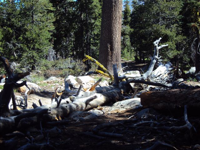 Barrett Lake 004