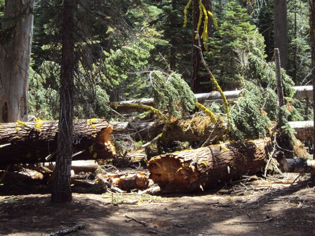 Barrett Lake 012
