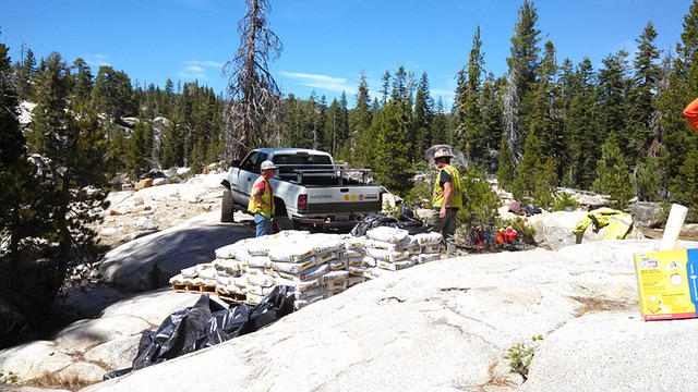 4 pallets and counting