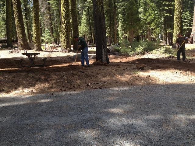 Southfork 5-24-13 (100)