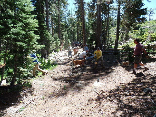 SAM 0610