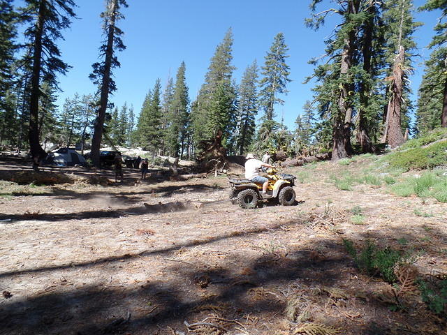 SAM 0812