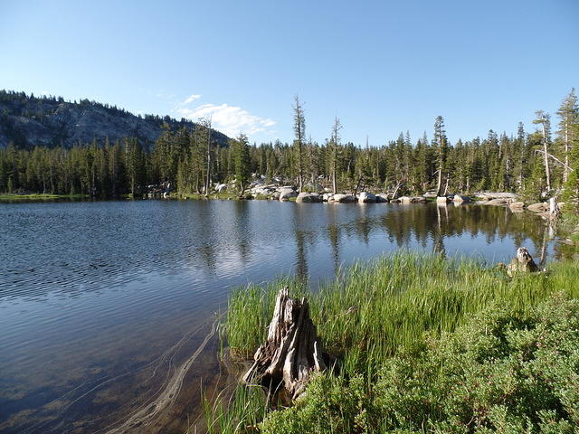 SAM 0913