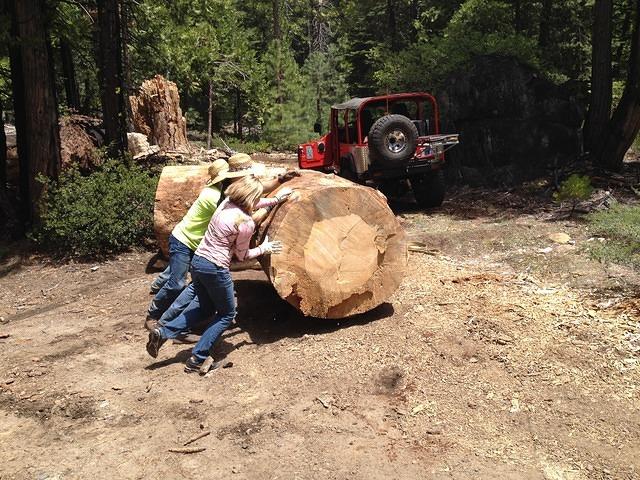 South Fork work May 2014 (16)