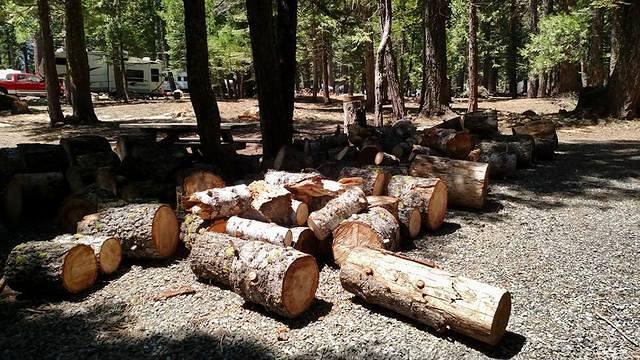 South Fork Campground Clean Up 5