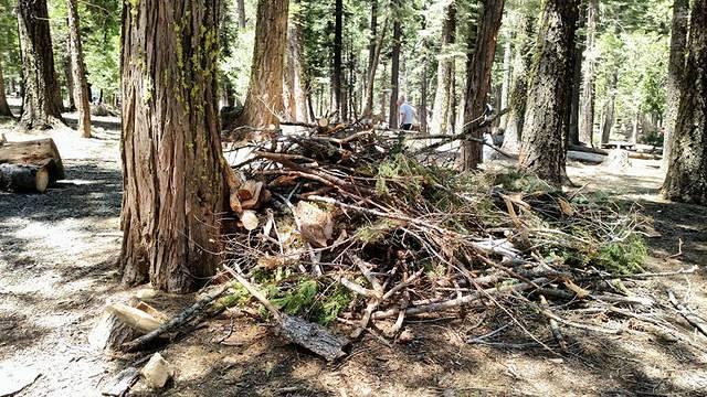 South Fork Campground Clean Up 6