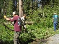 trimming brush (13)WL