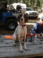 Southfork 5-24-13 (52)