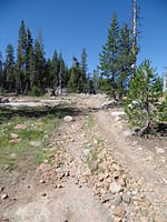 SAM 0583